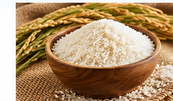 Rice and commodities